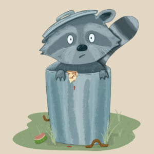 raccoon, garbage, trash can